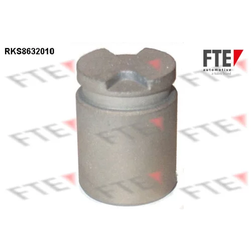 Piest brzdového strmeňa RKS8632010 /FTE/