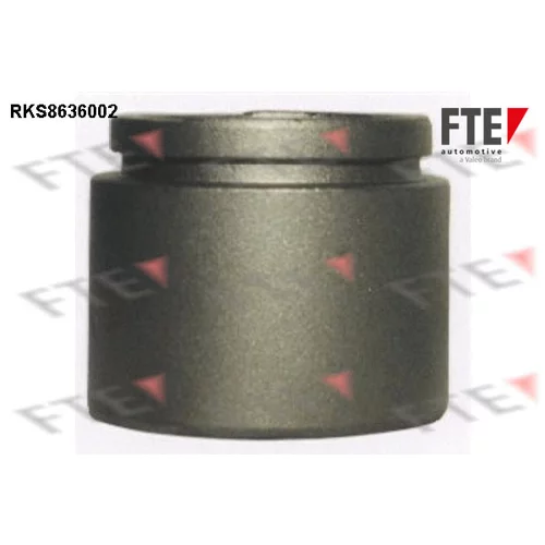 Piest brzdového strmeňa RKS8636002 /FTE/