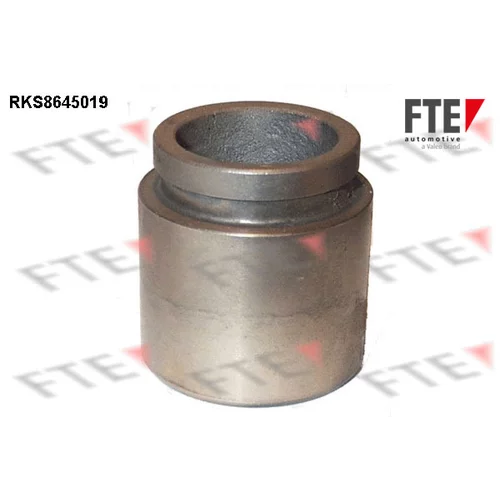Piest brzdového strmeňa RKS8645019 /FTE/