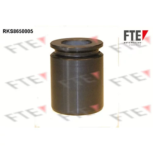 Piest brzdového strmeňa RKS8650005 /FTE/