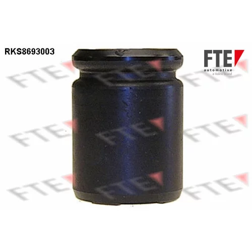 Piest brzdového strmeňa RKS8693003 /FTE/