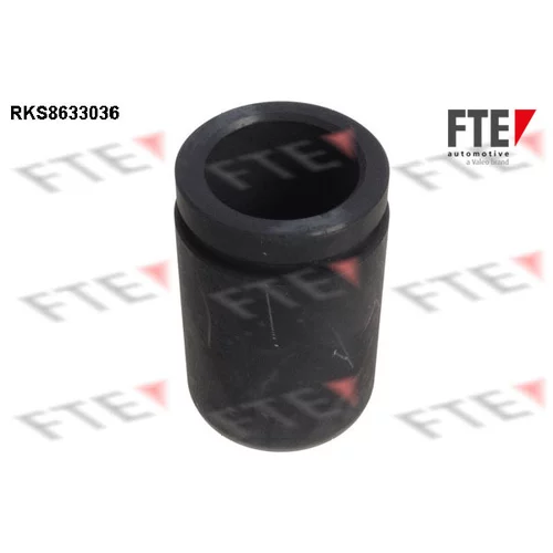 Piest brzdového strmeňa 9313043 /FTE/