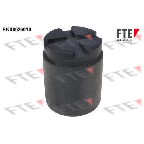 Piest brzdového strmeňa 9313234 /FTE/