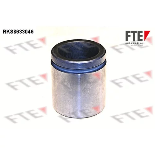 Piest brzdového strmeňa RKS8633046 /FTE/