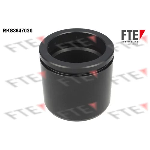 Piest brzdového strmeňa 9313438 /FTE/