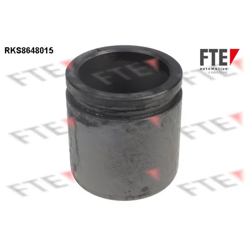 Piest brzdového strmeňa 9313448 /FTE/