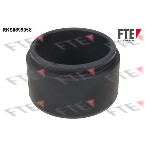 Piest brzdového strmeňa 9313511 /FTE/