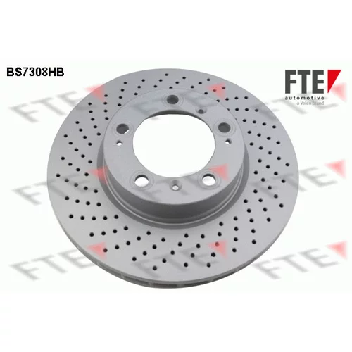 Brzdový kotúč FTE BS7308HB
