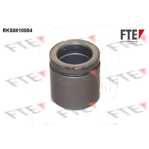 Piest brzdového strmeňa RKS8610004 /FTE/