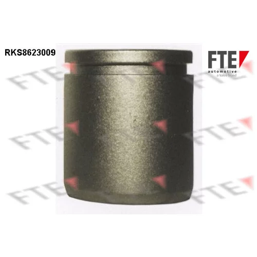 Piest brzdového strmeňa RKS8623009 /FTE/