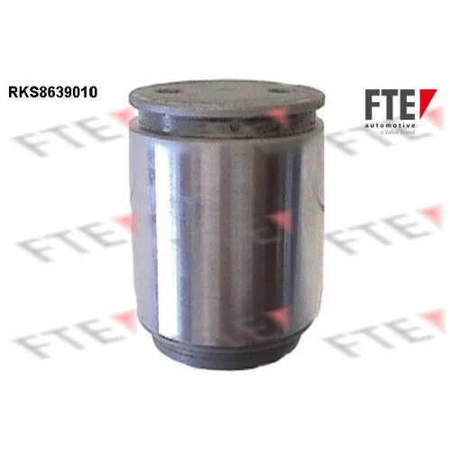 Piest brzdového strmeňa RKS8639010 /FTE/