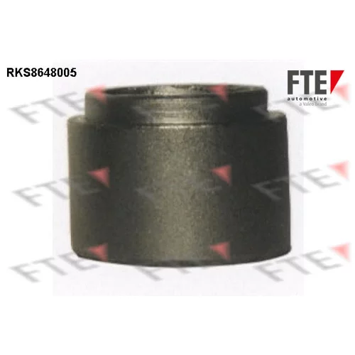 Piest brzdového strmeňa RKS8648005 /FTE/