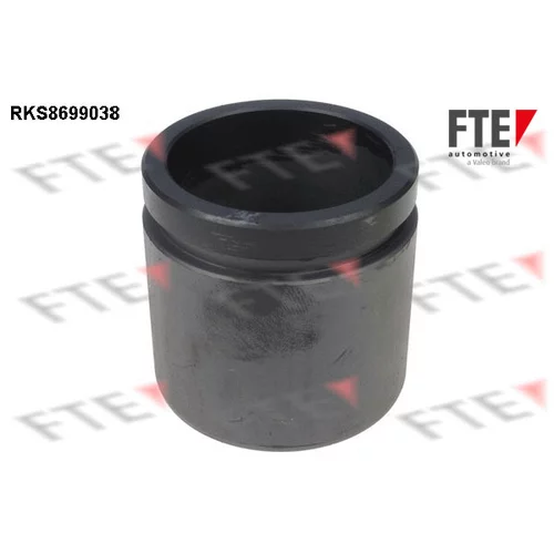 Piest brzdového strmeňa RKS8699038 /FTE/