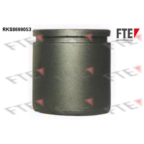 Piest brzdového strmeňa RKS8699053 /FTE/
