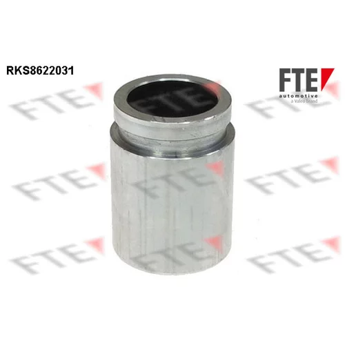 Piest brzdového strmeňa 9313189 /FTE/
