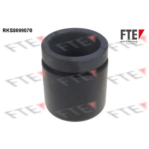 Piest brzdového strmeňa RKS8699070 /FTE/
