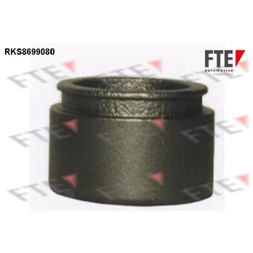 Piest brzdového strmeňa RKS8699080 /FTE/