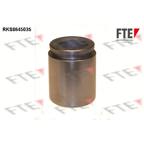 Piest brzdového strmeňa 9313409 /FTE/