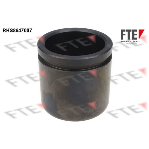 Piest brzdového strmeňa 9313430 /FTE/