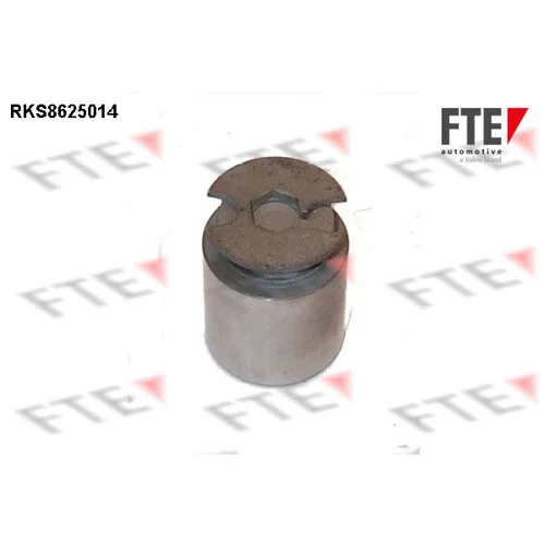 Piest brzdového strmeňa RKS8625014 /FTE/