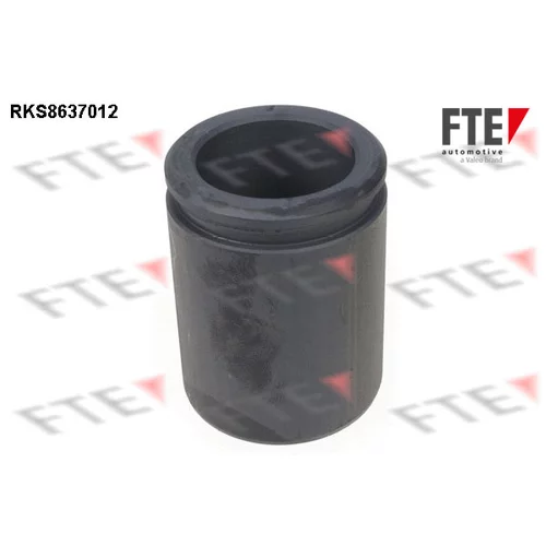 Piest brzdového strmeňa RKS8637012 /FTE/