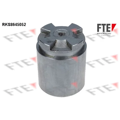Piest brzdového strmeňa RKS8645052 /FTE/