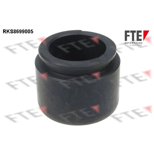 Piest brzdového strmeňa RKS8699005 /FTE/