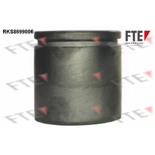 Piest brzdového strmeňa RKS8699006 /FTE/