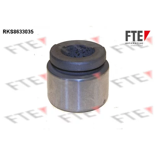 Piest brzdového strmeňa 9313042 /FTE/