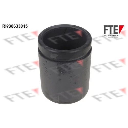 Piest brzdového strmeňa 9313046 /FTE/