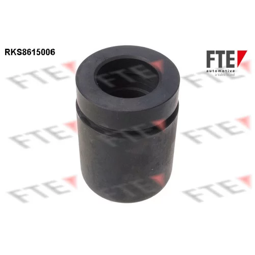 Piest brzdového strmeňa 9313129 /FTE/