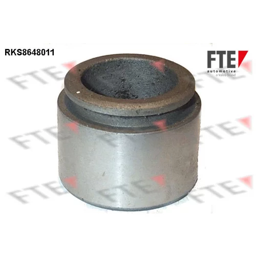 Piest brzdového strmeňa 9313447 /FTE/