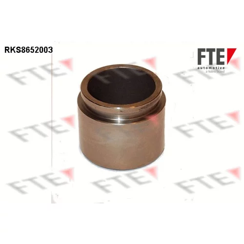 Piest brzdového strmeňa 9313463 /FTE/