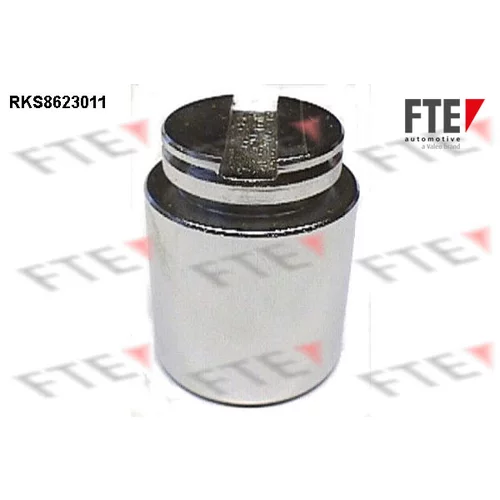 Piest brzdového strmeňa RKS8623011 /FTE/