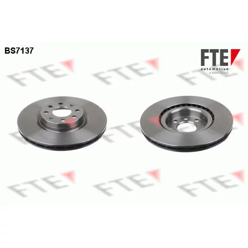 Brzdový kotúč FTE 9072602