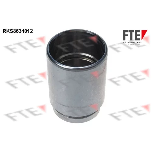 Piest brzdového strmeňa 9313308 /FTE/