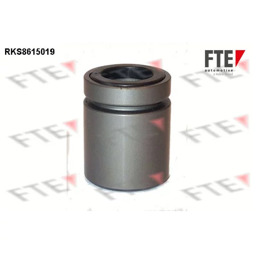 Piest brzdového strmeňa RKS8615019 /FTE/