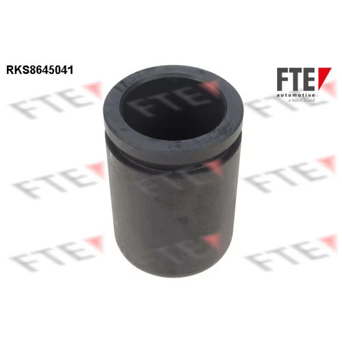 Piest brzdového strmeňa RKS8645041 /FTE/
