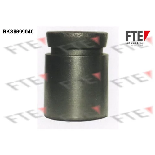 Piest brzdového strmeňa RKS8699040 /FTE/