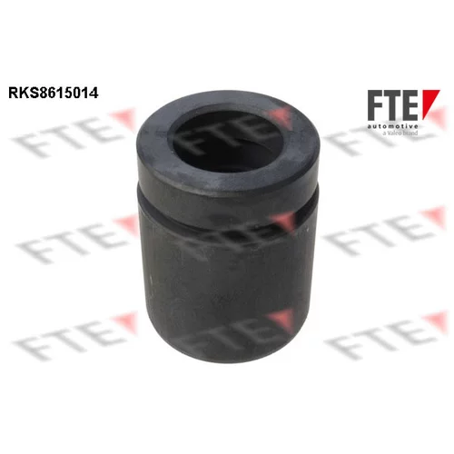 Piest brzdového strmeňa 9313007 /FTE/