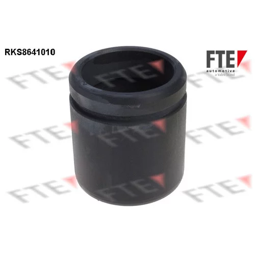 Piest brzdového strmeňa RKS8641010 /FTE/