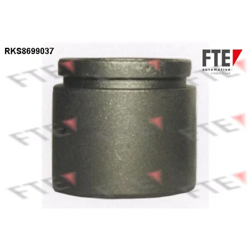Piest brzdového strmeňa RKS8699037 /FTE/