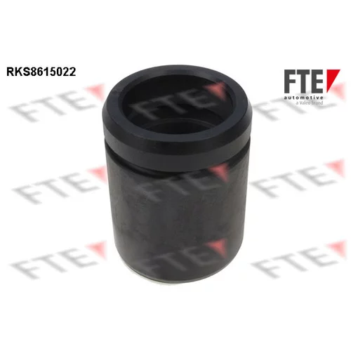Piest brzdového strmeňa 9313009 /FTE/