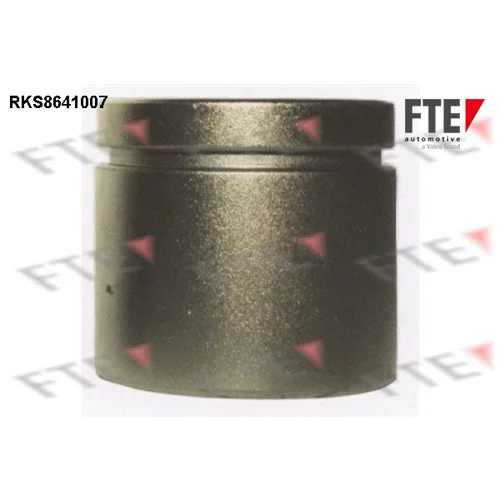 Piest brzdového strmeňa 9313066 /FTE/