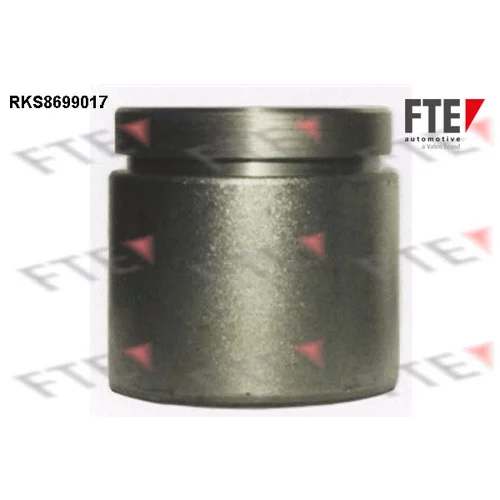 Piest brzdového strmeňa 9313094 /FTE/
