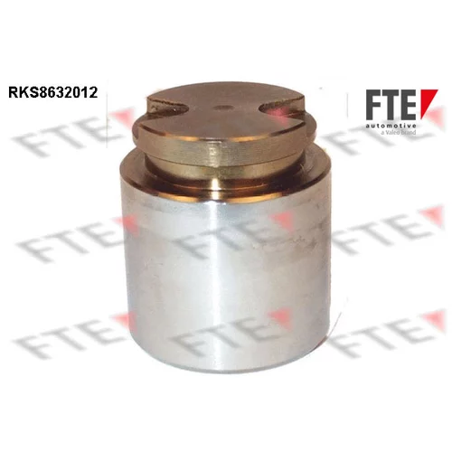 Piest brzdového strmeňa 9313262 /FTE/