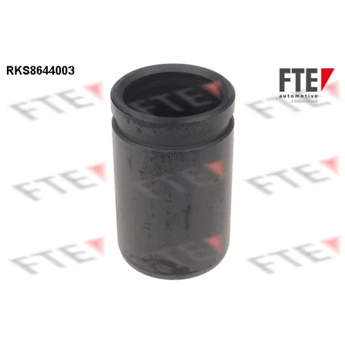 Piest brzdového strmeňa 9313379 /FTE/