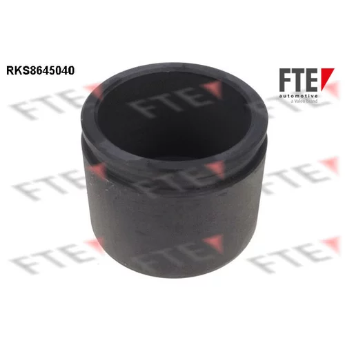Piest brzdového strmeňa 9313412 /FTE/