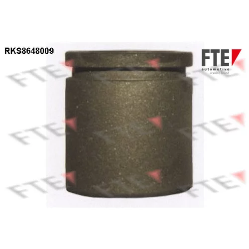 Piest brzdového strmeňa 9313445 /FTE/