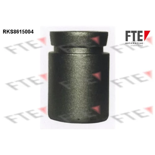 Piest brzdového strmeňa RKS8615004 /FTE/
